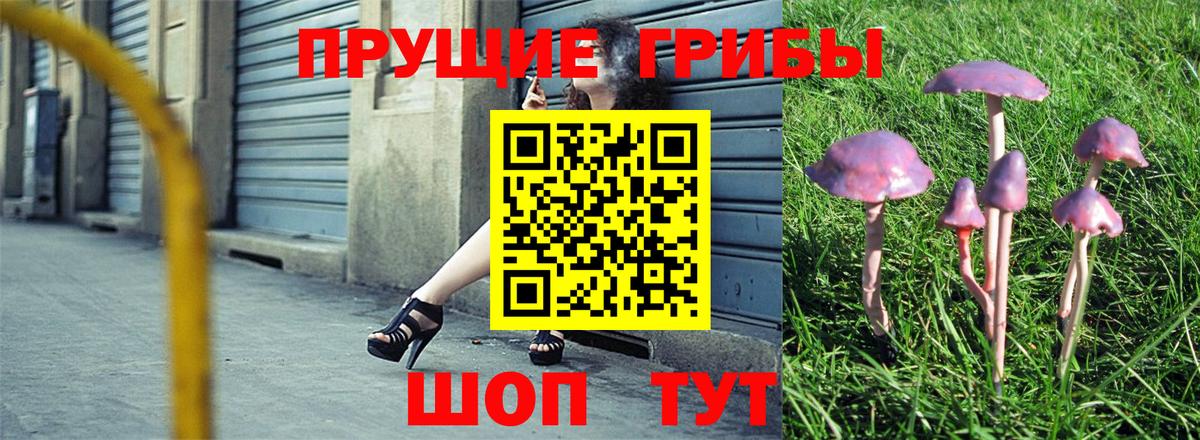 Галлюциногенные грибы MAGIC MUSHROOMS  Вход с VPN  Дюртюли  Псилоцибиновые грибы мухоморы 